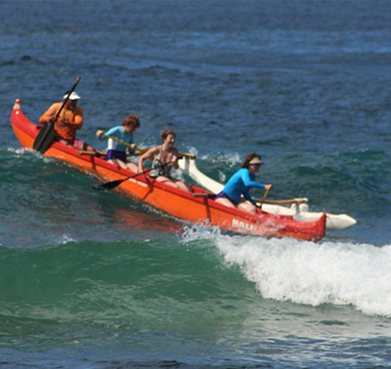 Stand-Up Paddleboard Rentals